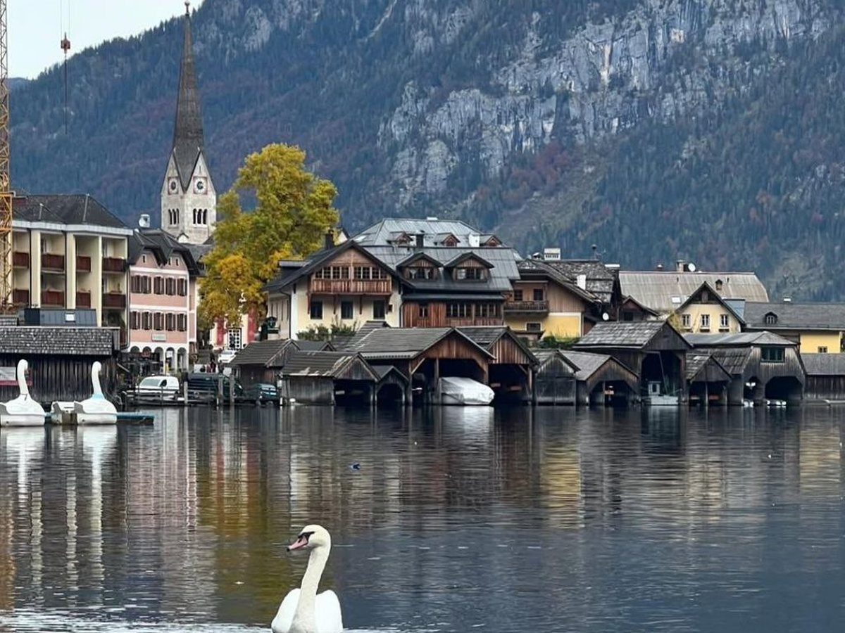 Wooden boathouses of a lakeside village beneath a mountain, a swan gliding across the water.